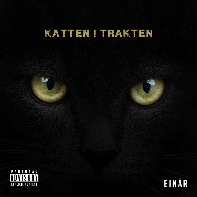 Katten I Trakten Single By Ein r Spotify