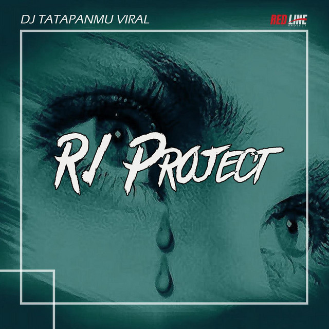 DJ Tatapanmu Viral cover art