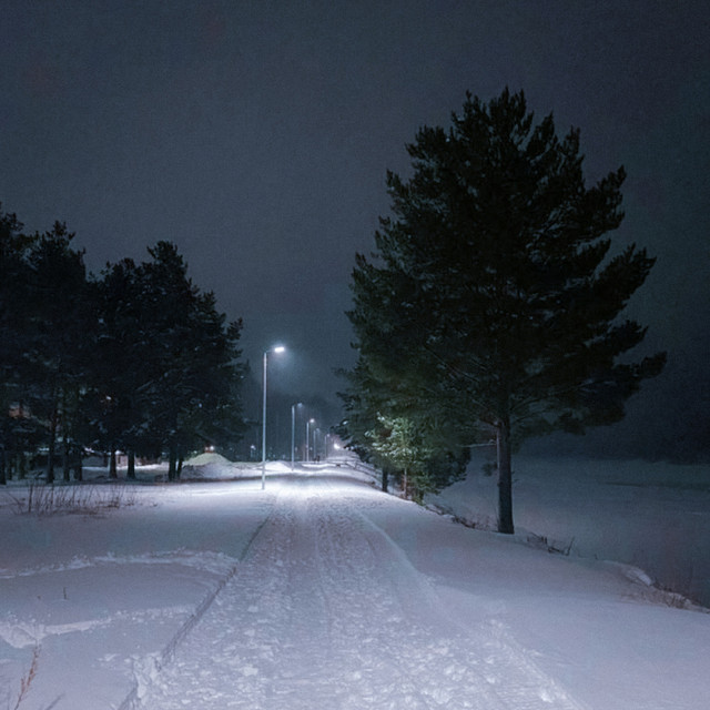 falling snow (Slowed)