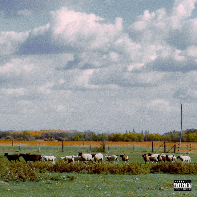 BLACKSHEEP: eight trials cover art