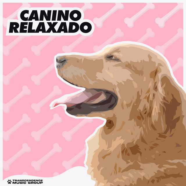 Canino Relaxado - Album by Música de Cachorro Calmante | Spotify