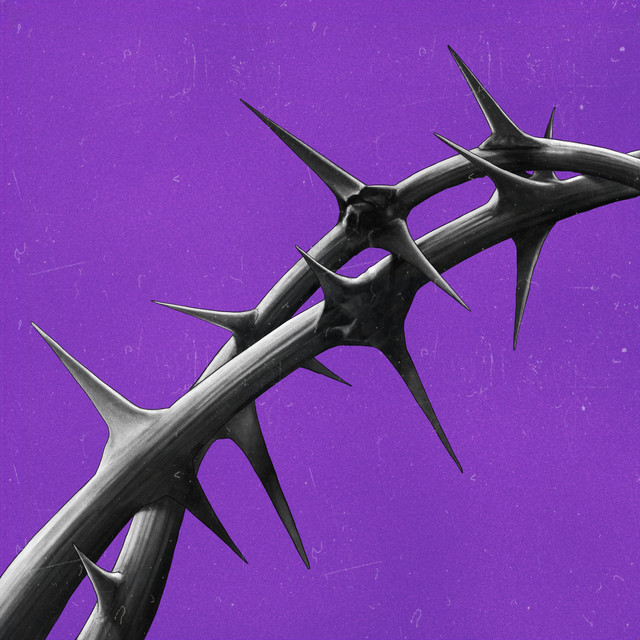 Spine