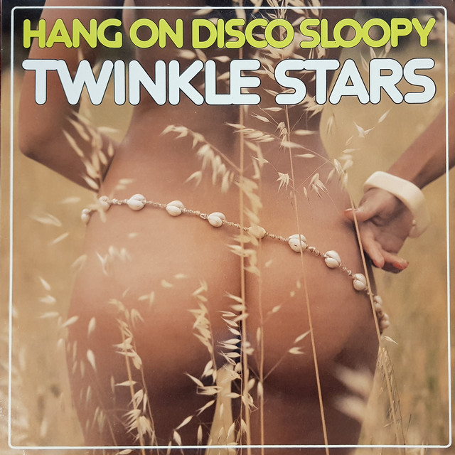 Hang On 'Disco' Sloopy cover art