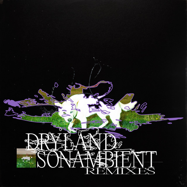 Dryland (Remixes) cover
