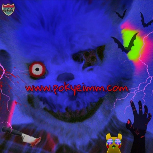 www.pokyeimm.com cover