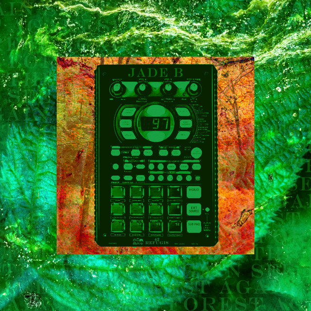 Tornar al Bosc cover art