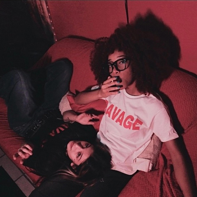 CRASH THE WHIP/MTV
