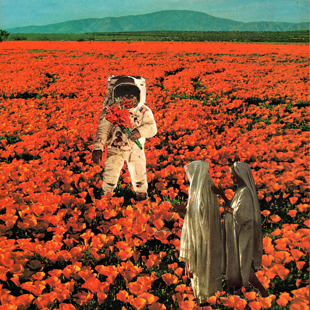The Foil cover art