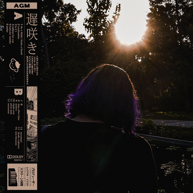 late blossom cover art