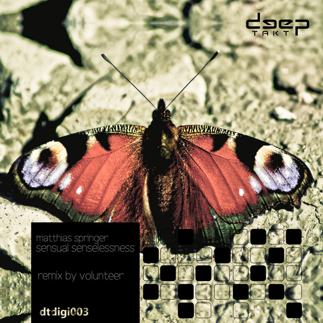 2222 Thoughts - Volunteer Remix cover art