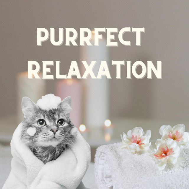 Perfect Relaxation - Single by SURREAL SOUNDS | Spotify