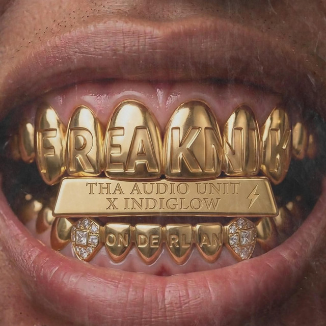 Wonderland Boiler Room Set The Freaknik Tape cover art