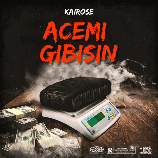 Acemi Gibisin