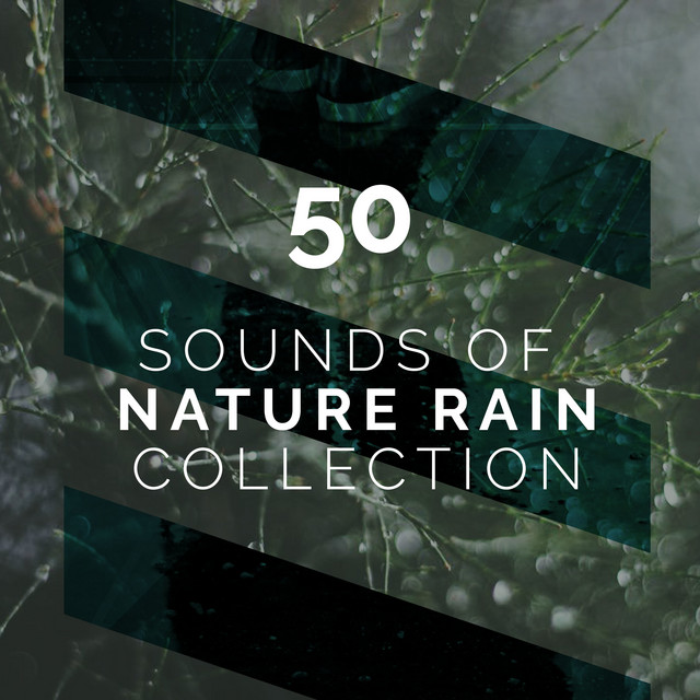 50 Sounds of Nature Rain Collection - Album by Deep Sleep Rain Sounds ...