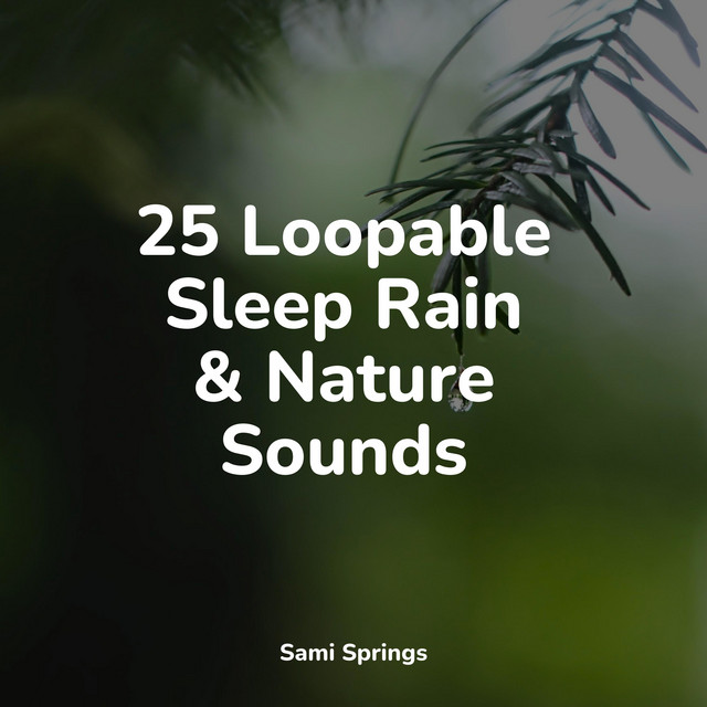 25 Loopable Sleep Rain & Nature Sounds - Album by Rainfall For Sleep ...