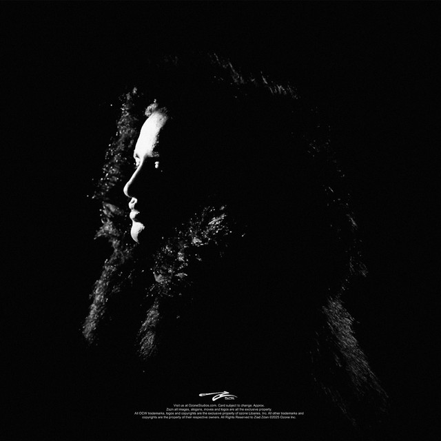 ZSZN cover art