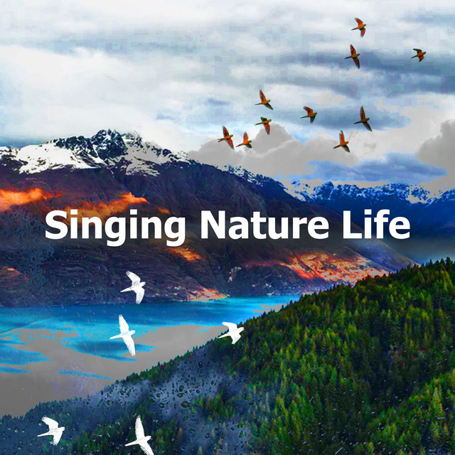 Singing Nature Life - Album by Life Sounds Nature | Spotify