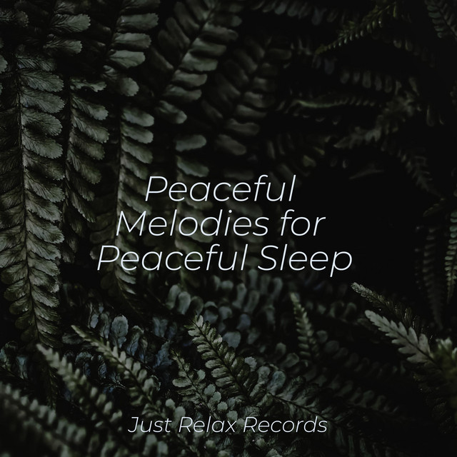 Peaceful Melodies for Peaceful Sleep - Album by kinderliedjes | Spotify