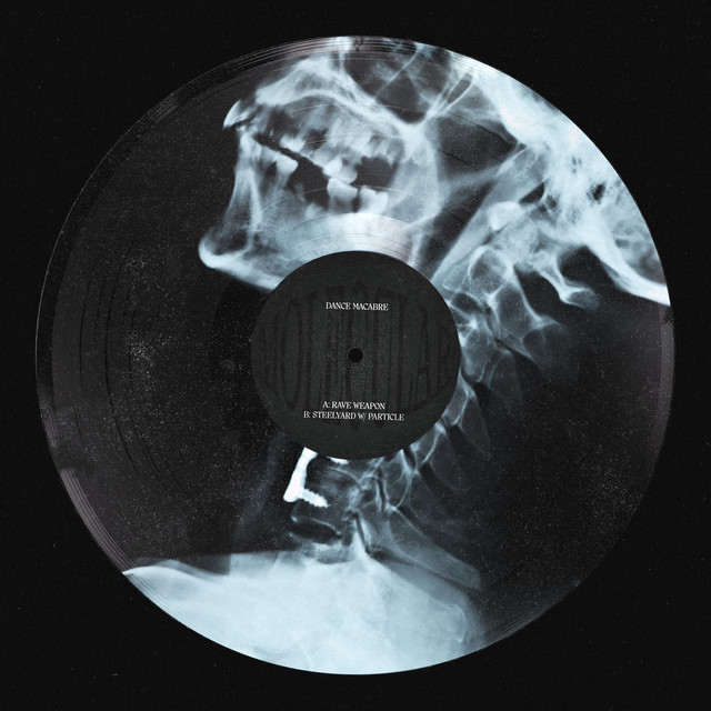 Steelyard album art