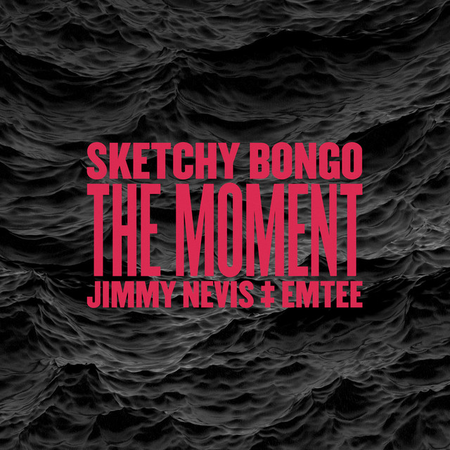 The Moment (feat. Jimmy Nevis & Emtee) cover