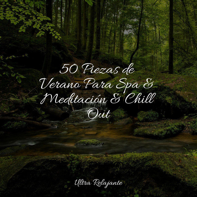 50 Piezas de Verano Para Spa & Meditación & Chill Out