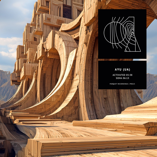 Обкладинка AYU (UA) — Activated | Soha