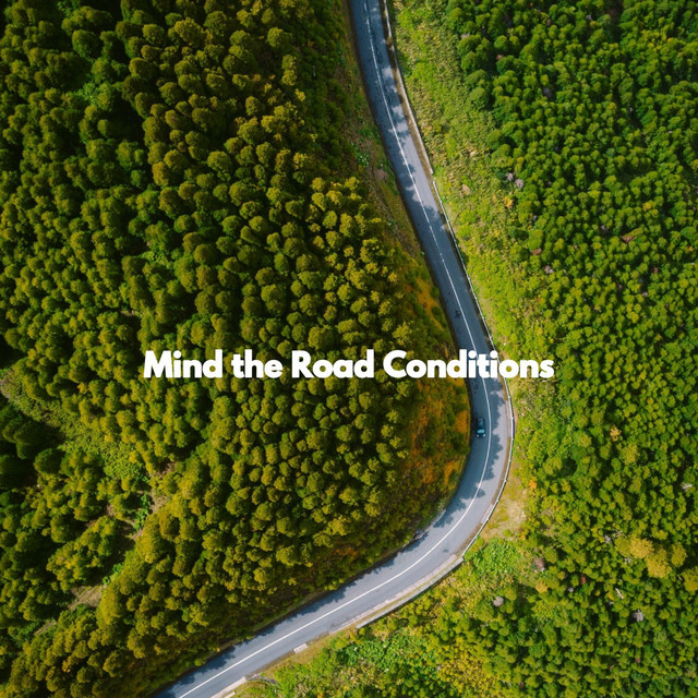 Mind the Road Conditions cover art