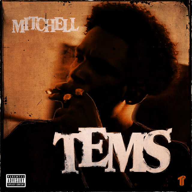 Album cover for Tems by Mitchell