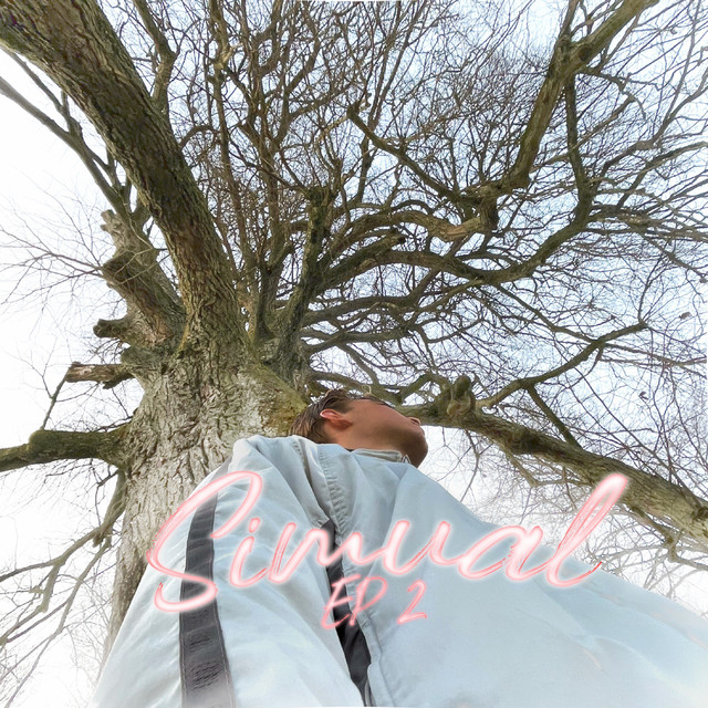 SIMUAL 2 - EP cover art