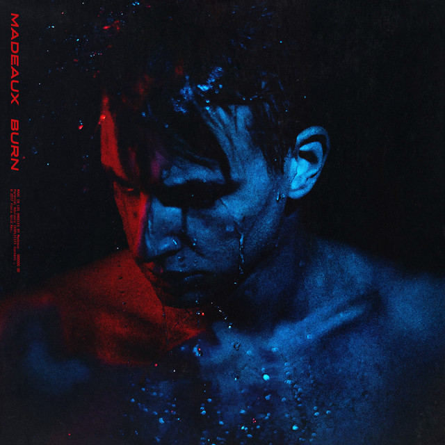 Burn cover art