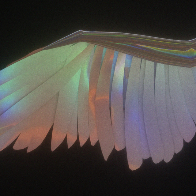 Wings cover art