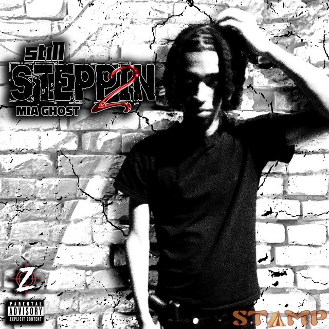 Still Steppin 2 cover art