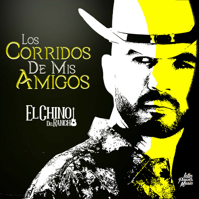 Los Corridos De Mis Amigos cover art