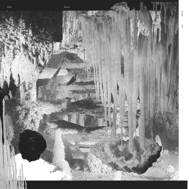 Delia cover art