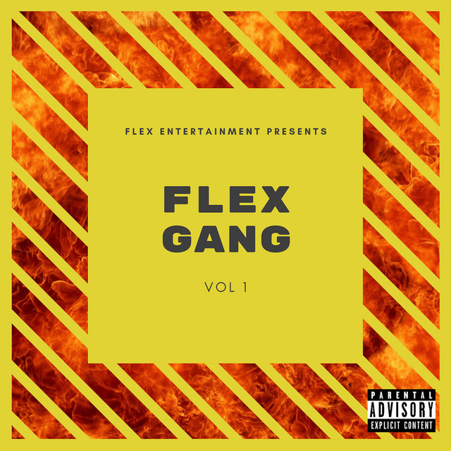 Flex Gang, Vol. 1 – Compilação de Vários intérpretes | Spotify