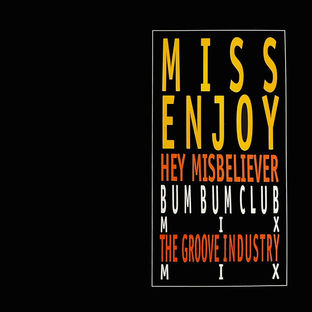 Hey Misbeliever cover