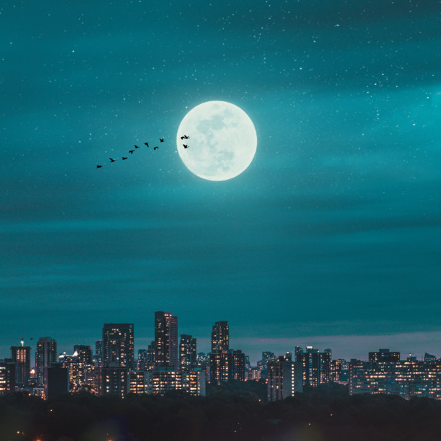 Sky cover art