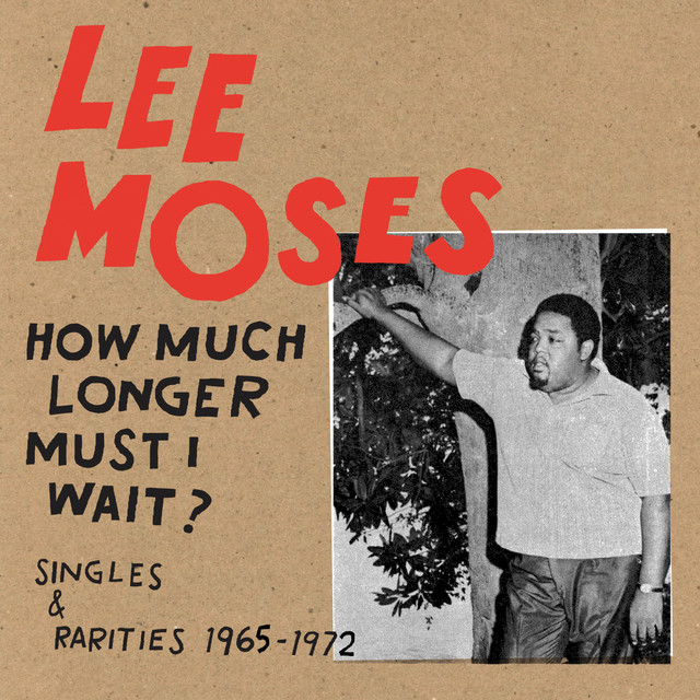 How Much Longer Must I Wait? (Singles & Rarities 1965-1972) cover art