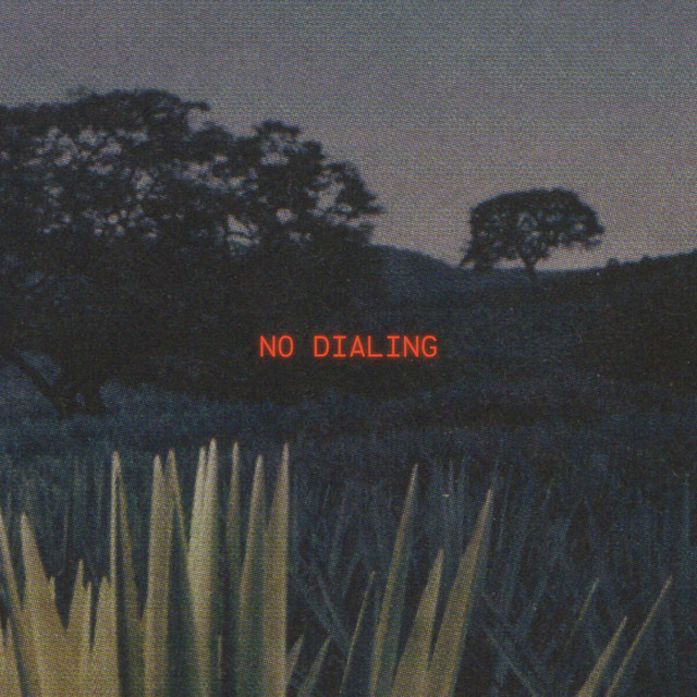 No Dialing cover