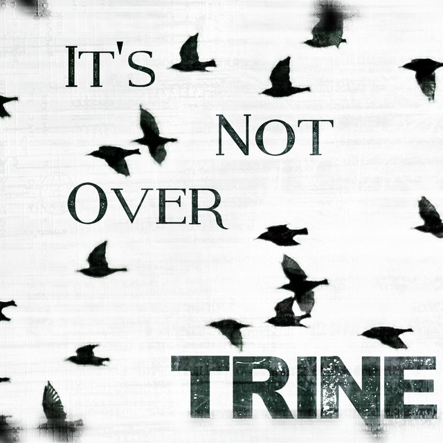 It's Not Over cover