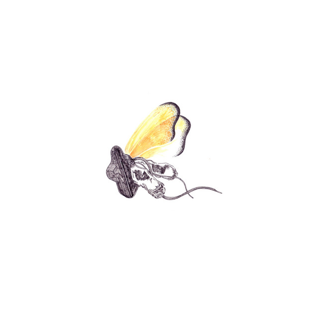 Making Shapes and It Keeps Making Shapes cover art