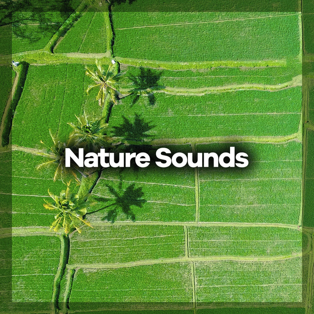 Nature Sounds ! ! ! - Album by Nature Sounds for Sleep and Relaxation ...