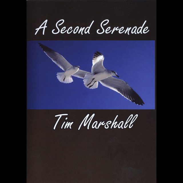 The Second Serenade cover art
