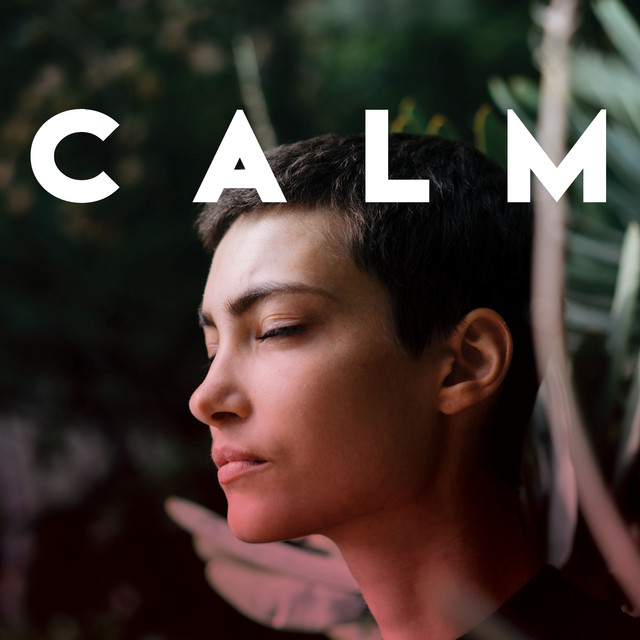 Calm - Compilation by Various Artists | Spotify