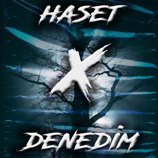 Denedim cover art