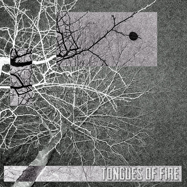 Tongues of Fire cover art