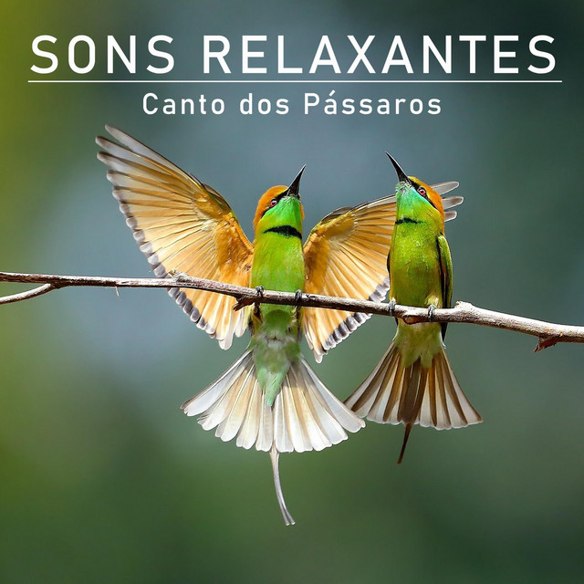 Sons Relaxantes: Canto dos Pássaros cover art