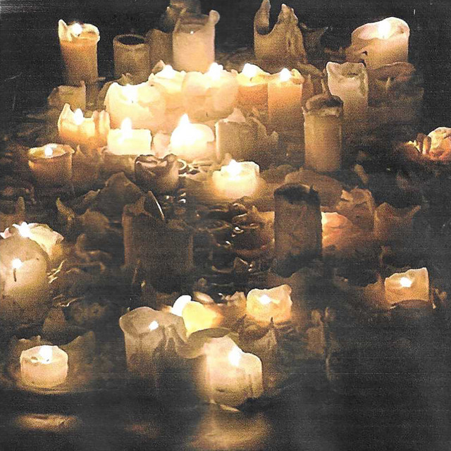 Camouflaged Wounds cover art