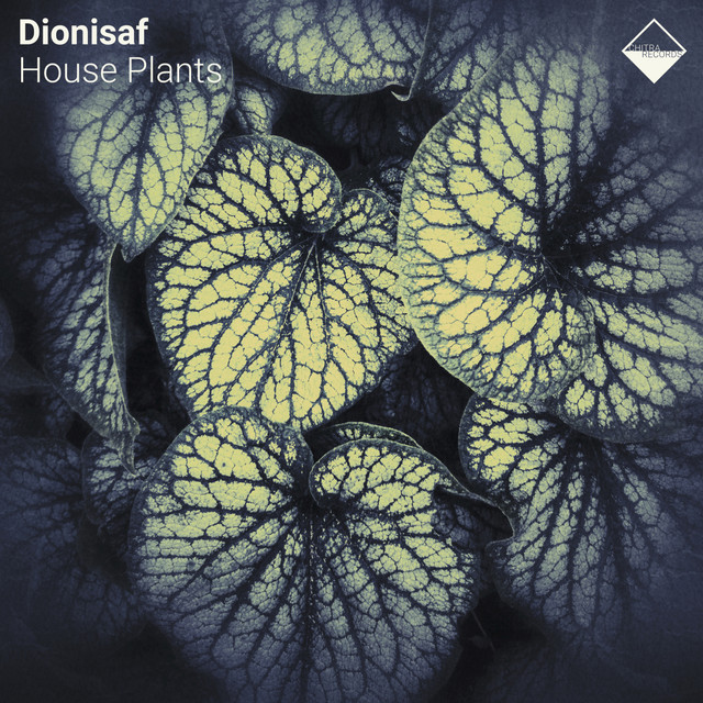 House Plants cover