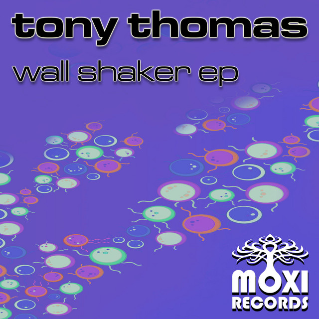 Wall Shaker album art